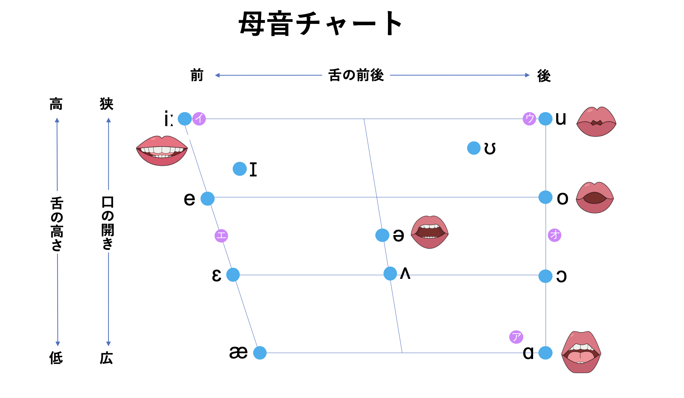 英語の母音を完全マスター｜聞き取れない原因をゼロにする発音解説【初心者〜中級者向け】